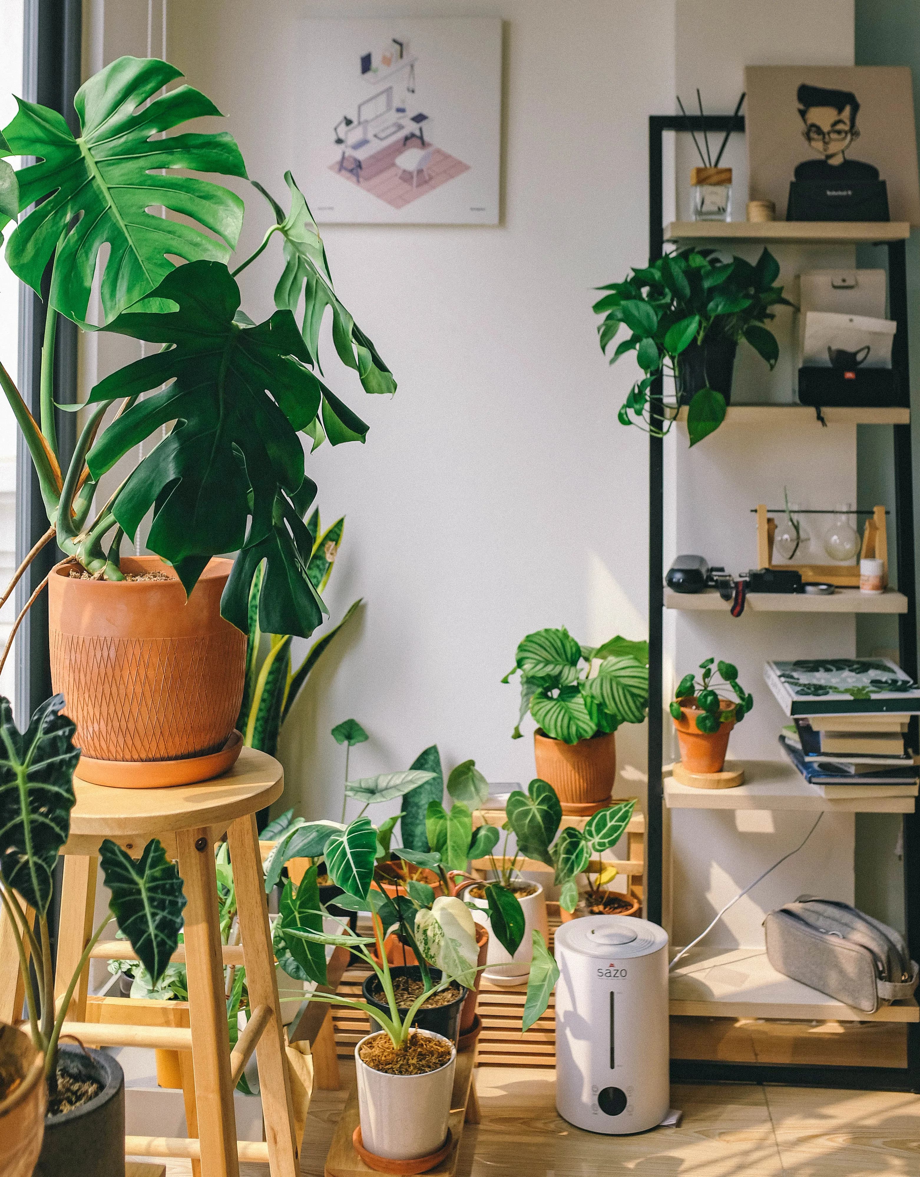 The Perfect Plant Placement for Your Apartment