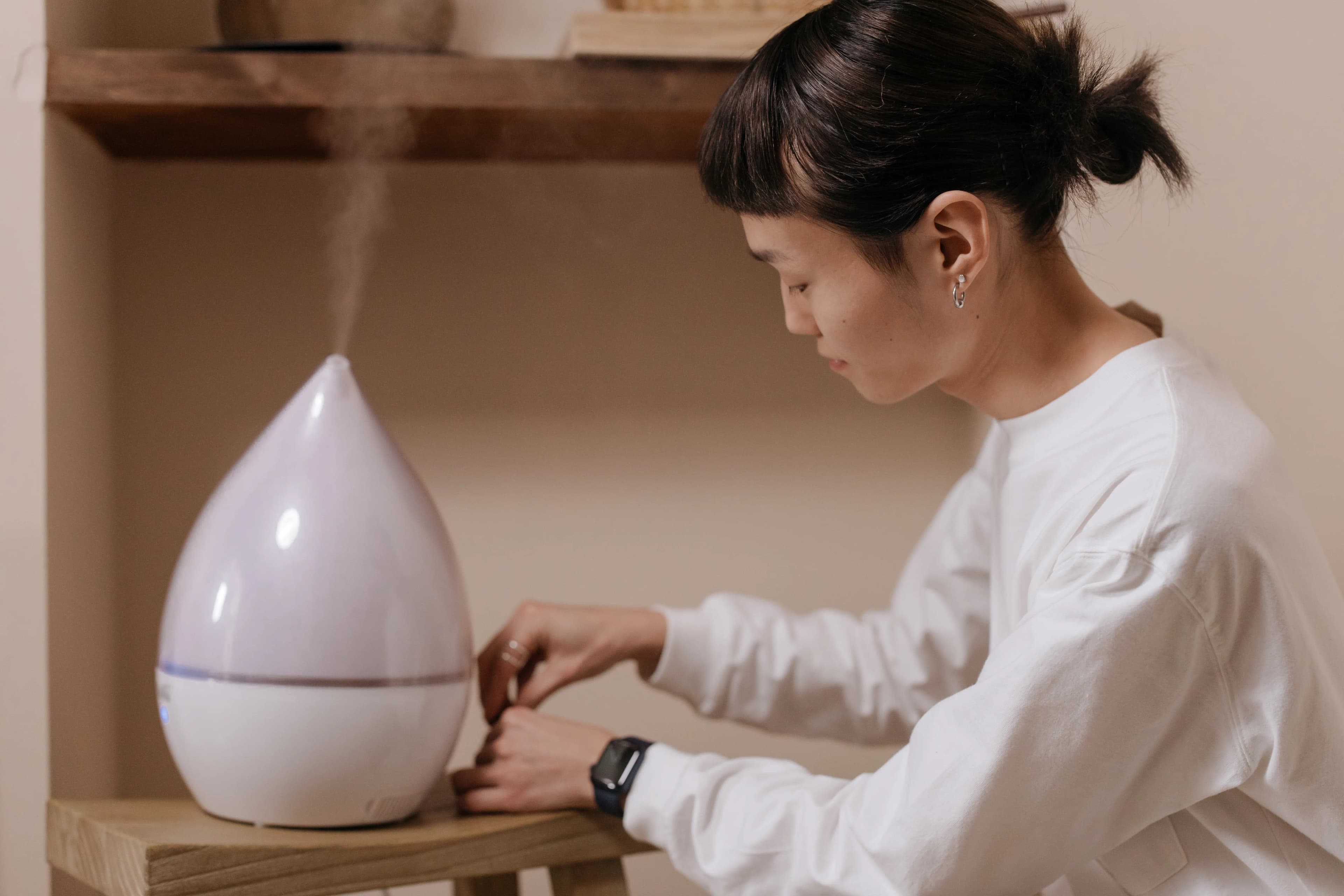 Humidifier near Alocasia plant