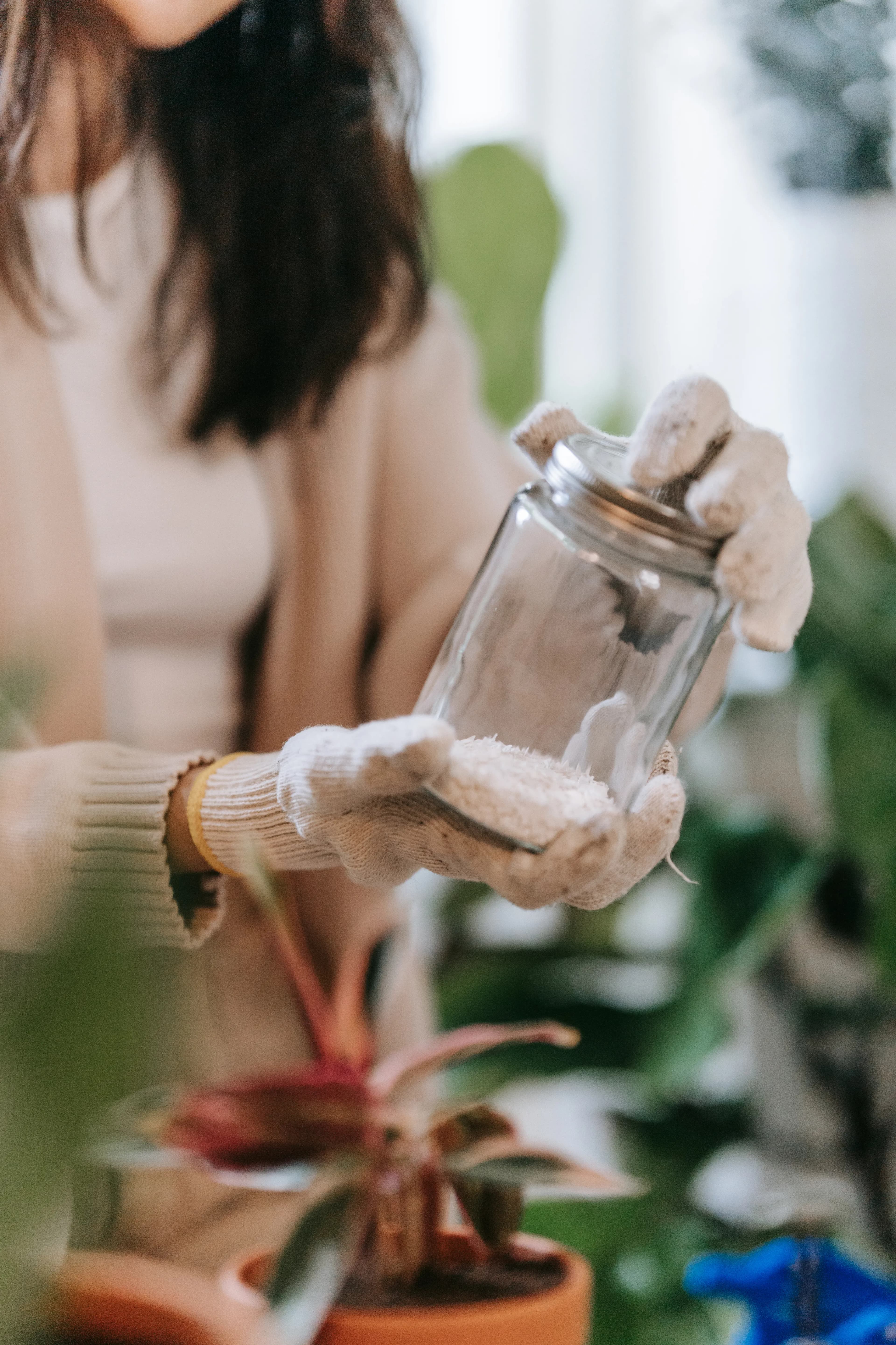 Person applying organic fertilizer to a houseplant